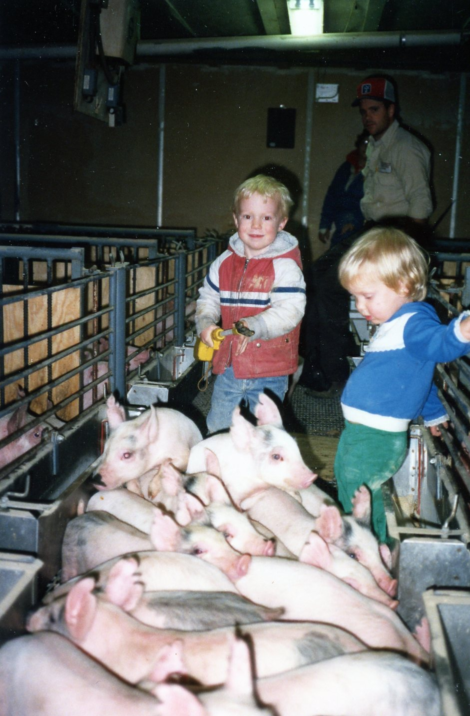 Two children helping with young pigs at a livestock event.